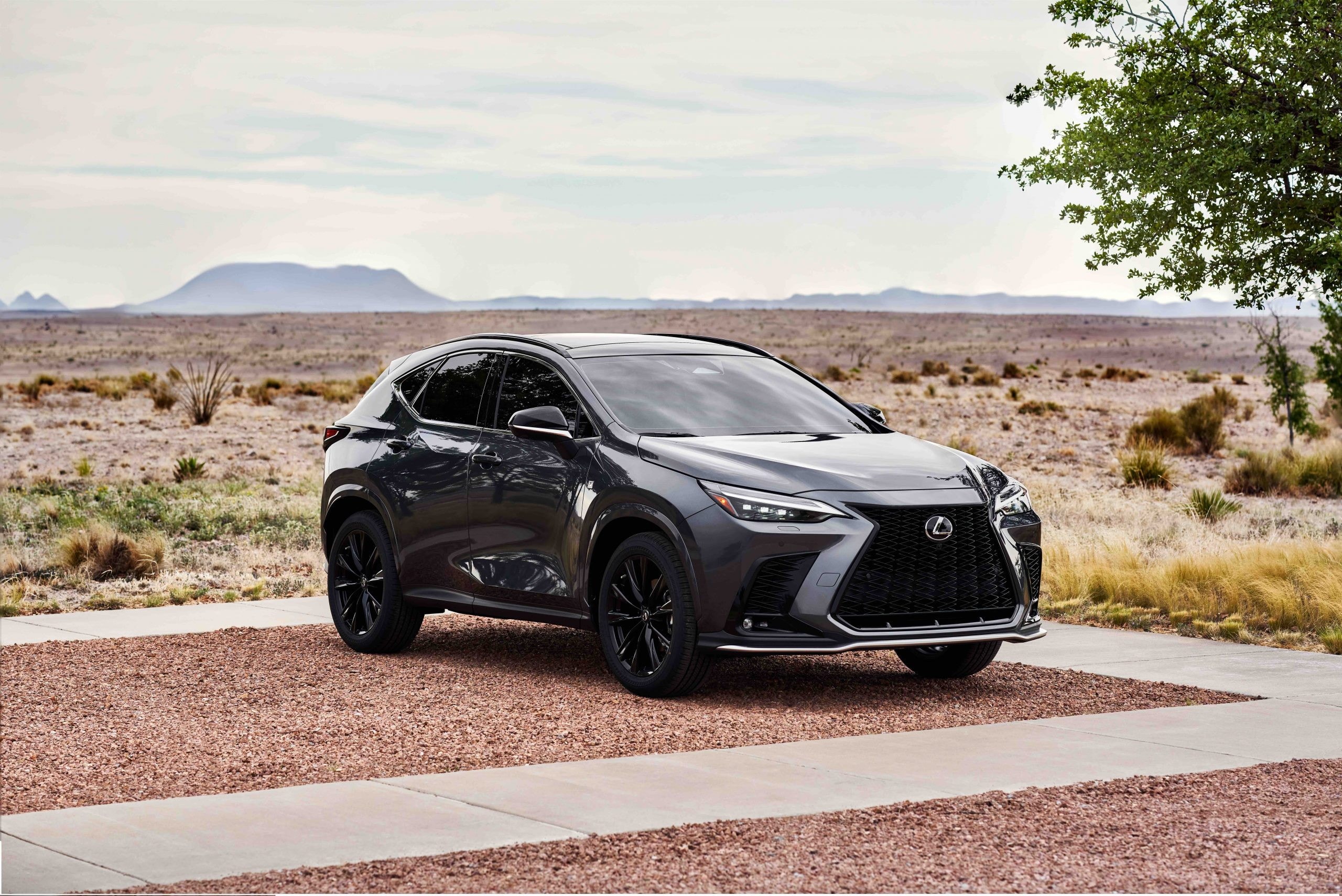 2026-lexus-nx-drops-entry-level-250-variant_8.jpg