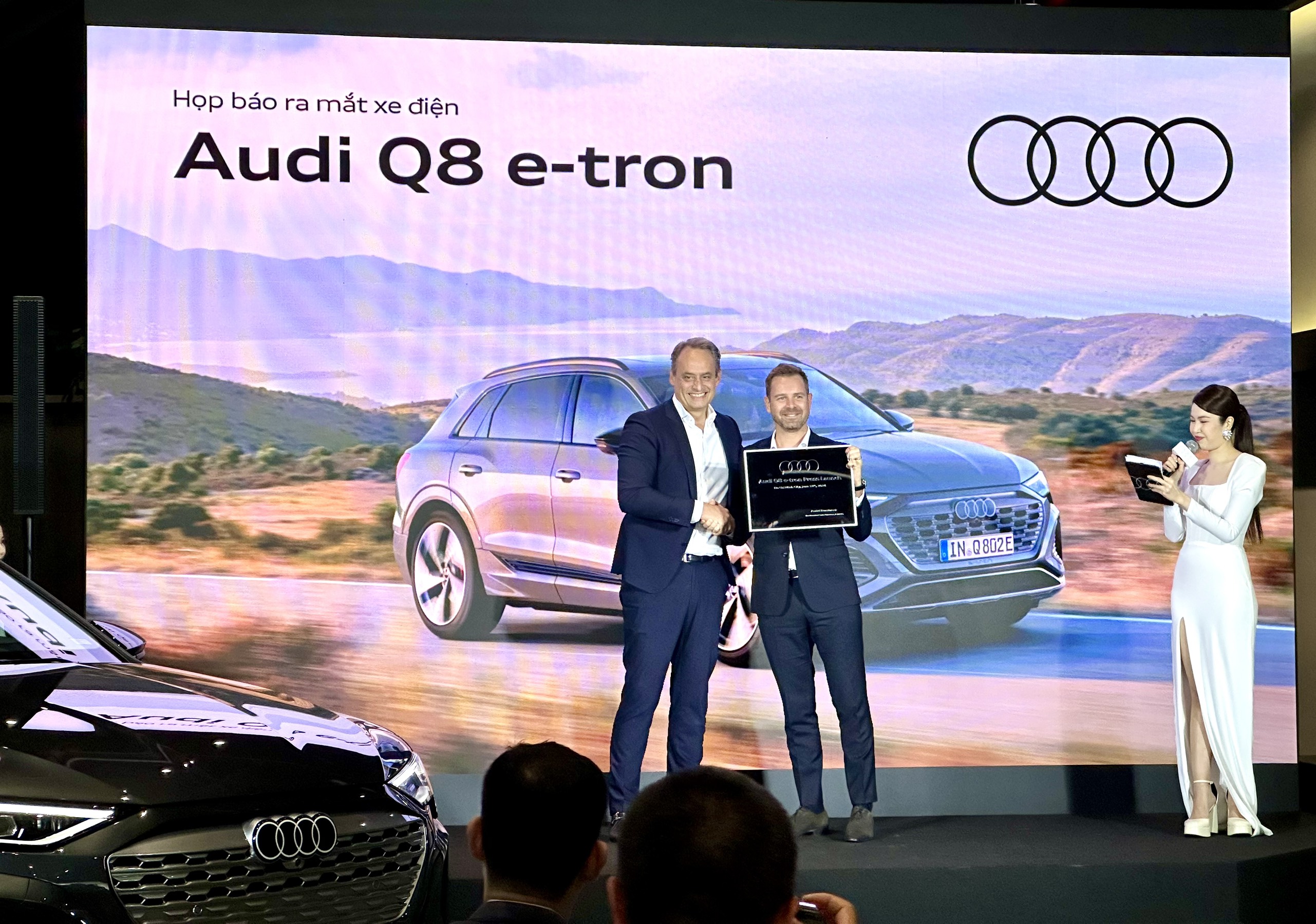 Audi Q8.jpg