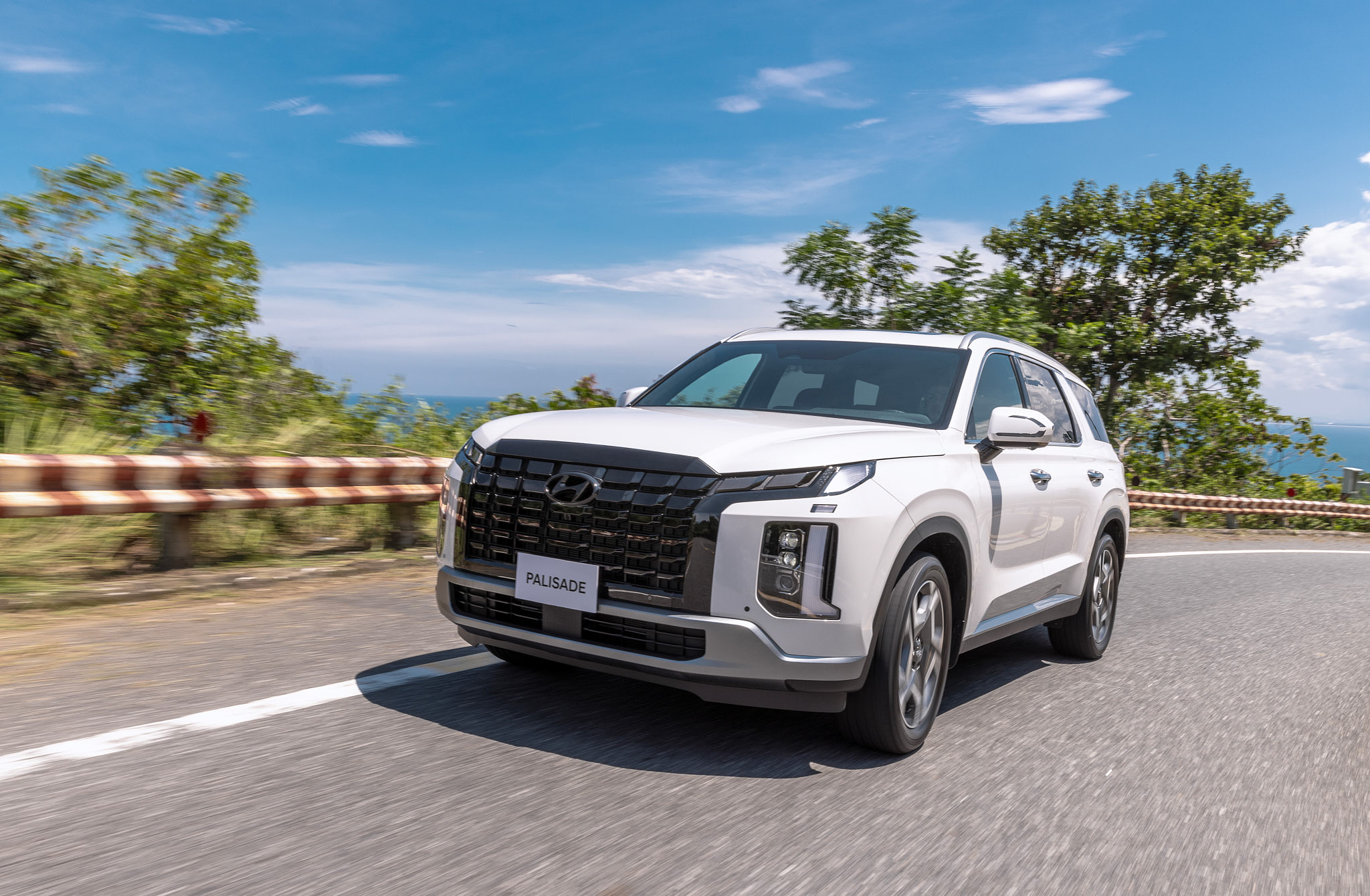 Hyundai Palisade - 30.jpg