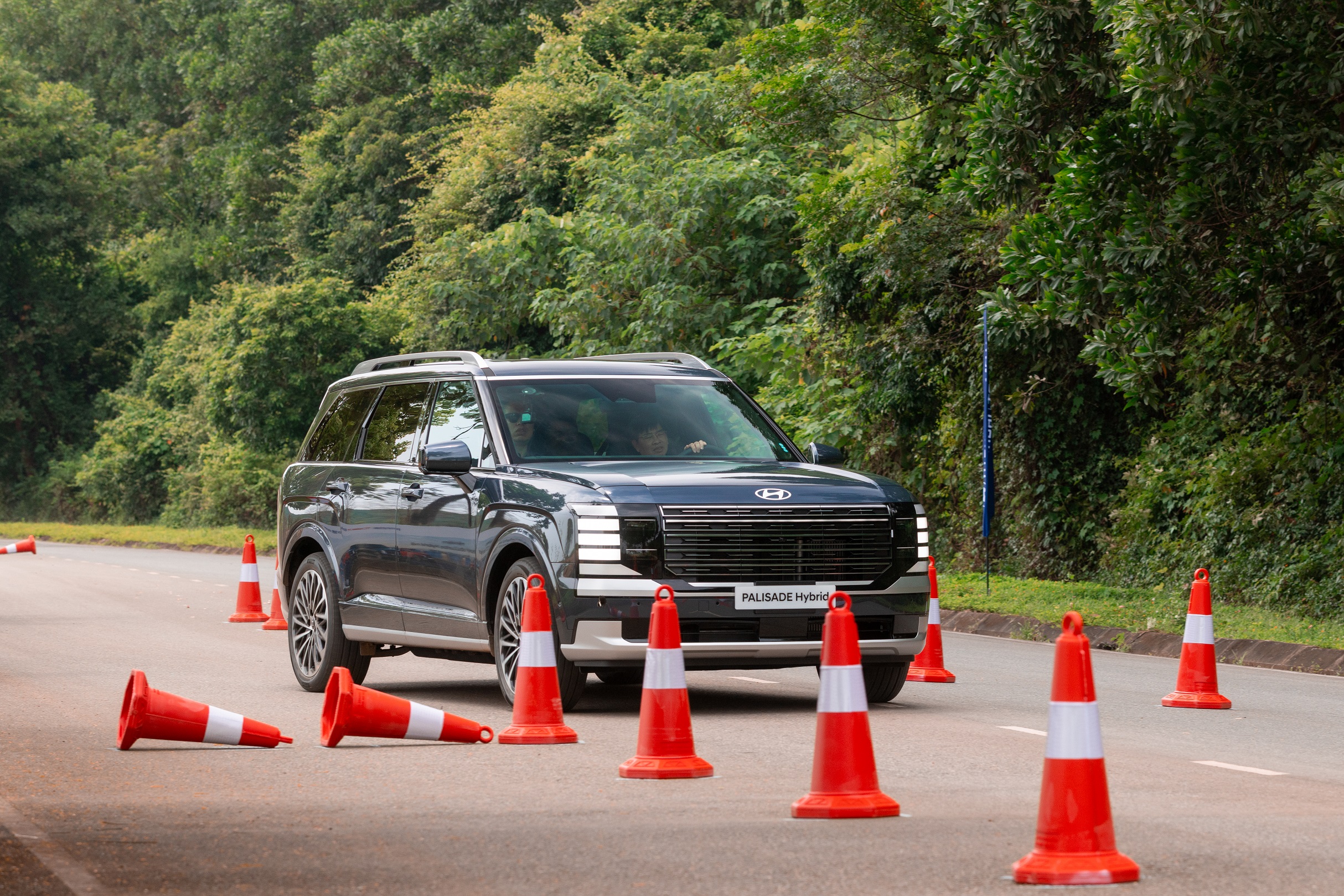 Hyundai Palisade-5.JPG