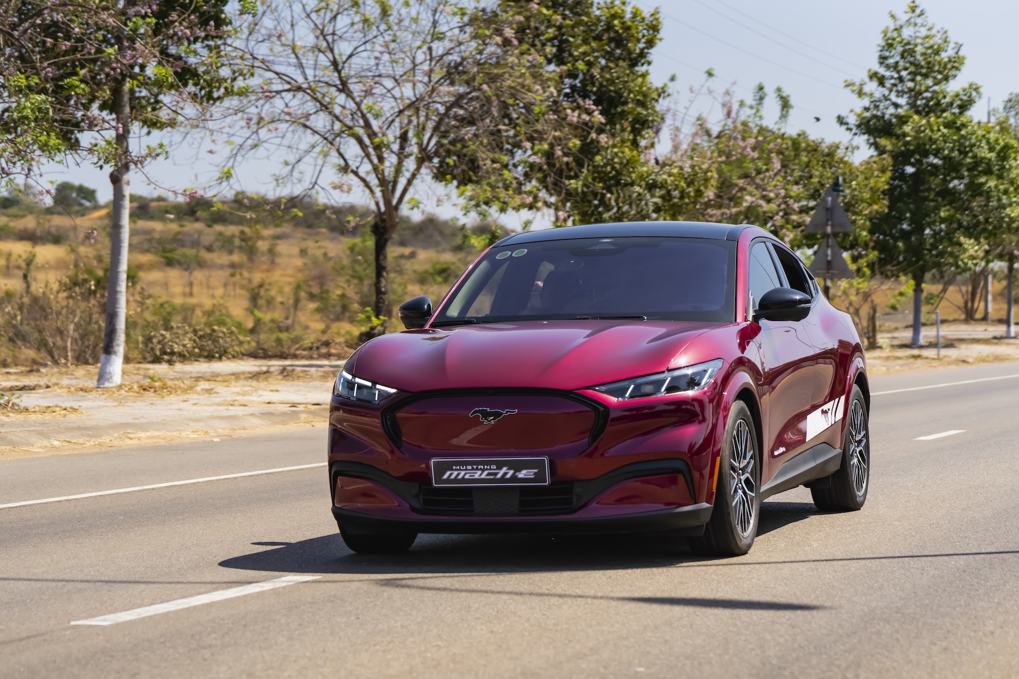 Mustang Mach-E.JPG