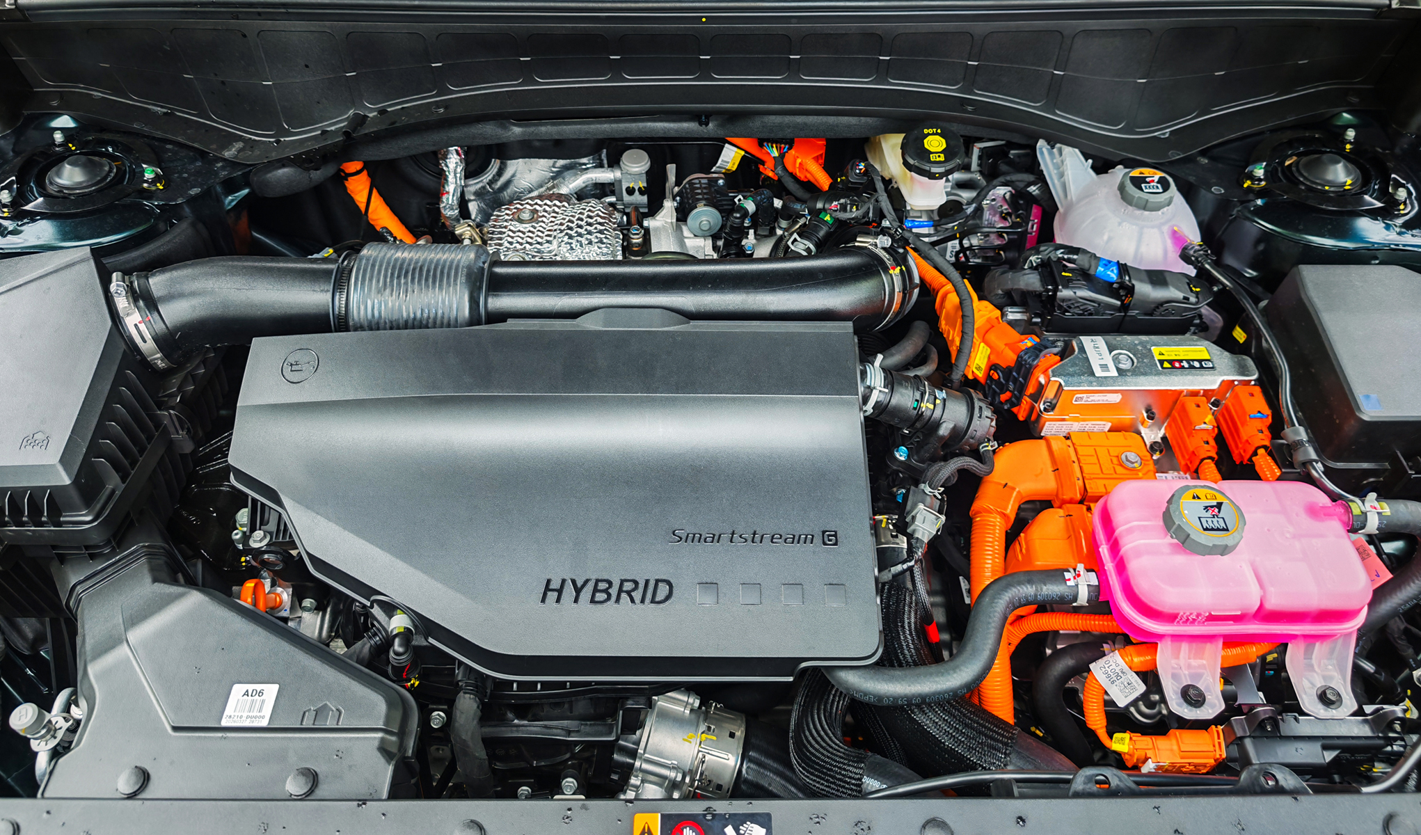 Palisade Hybrid_15.jpg
