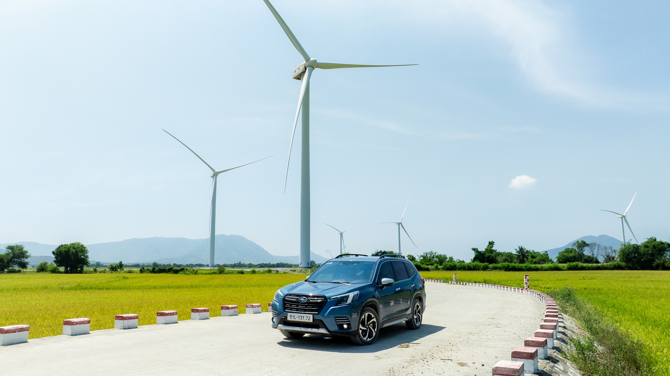 Subaru (2) (1).jpg
