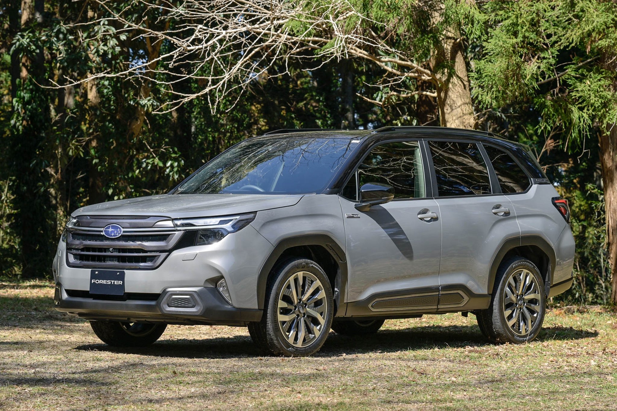 Subaru Forester  2026 6.jpg