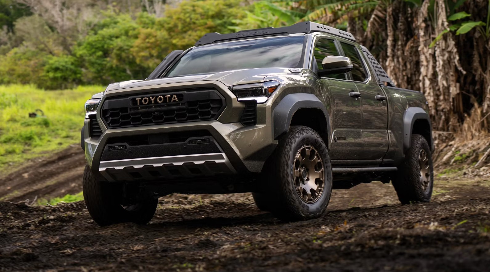 Toyota-6668.jpg