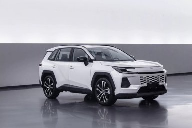 Toyota Wildlander 3.jpg