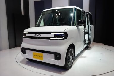 BYD Racco 3.jpg