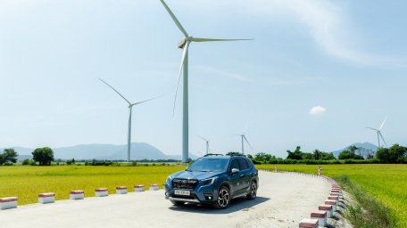 Subaru (2).jpg